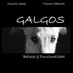 Galgos - Belleza & Funcionalidad